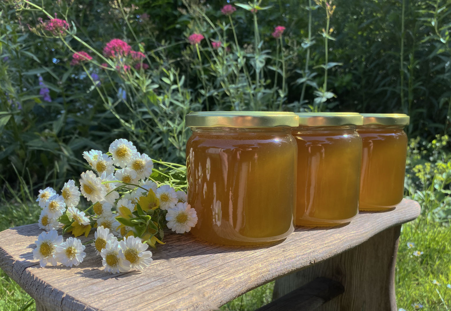 honigglaeser_im_garten