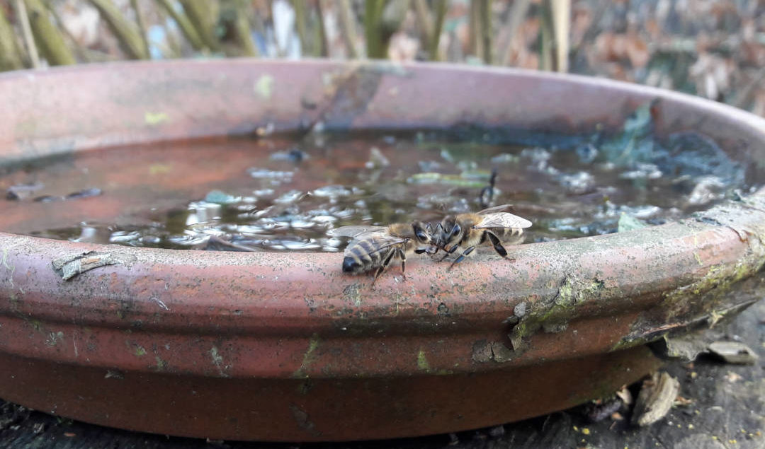 wasser-holen-im-winter