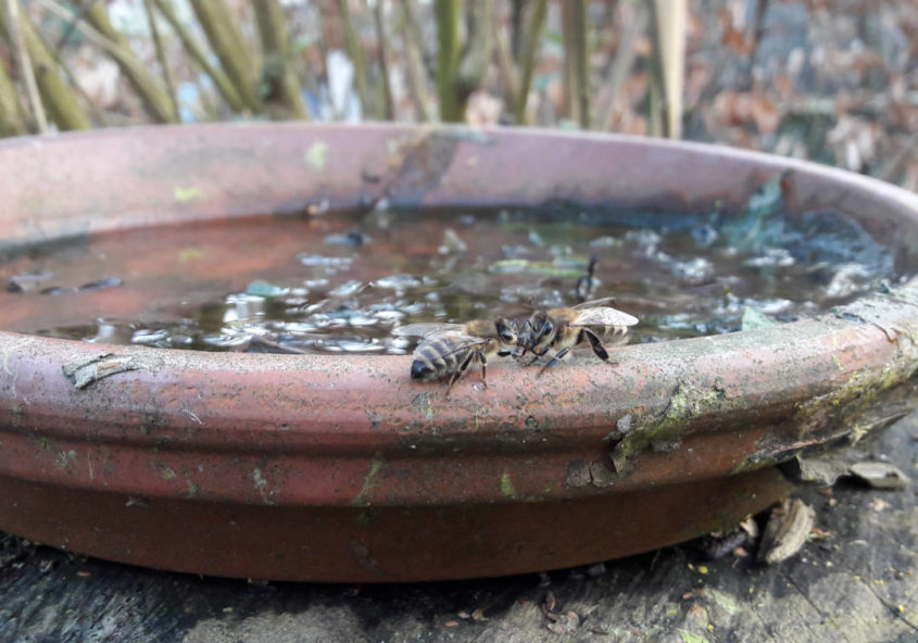 wasser-holen-im-winter